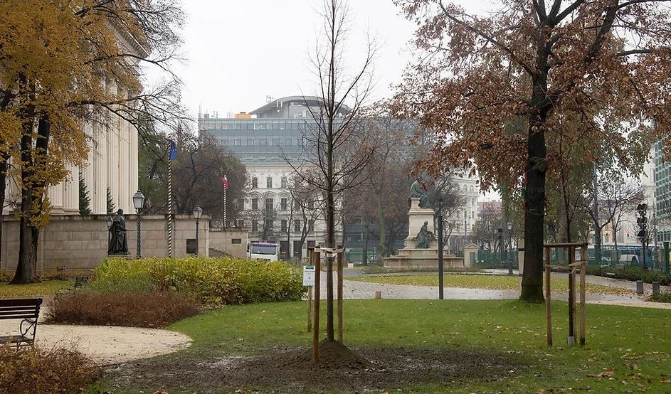 Humusline ültetőközeg